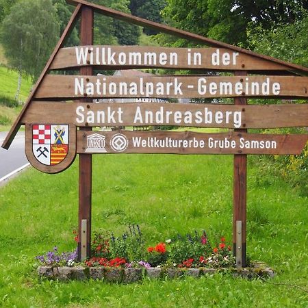 Apartment Harzblick -Neu Modernisiert- Sankt Andreasberg Bagian luar foto